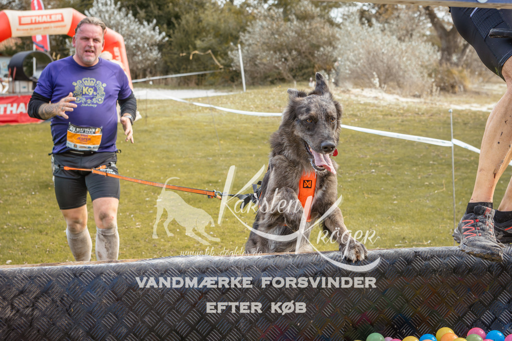 1359_ZZ93250-2 | kk-dogfotos