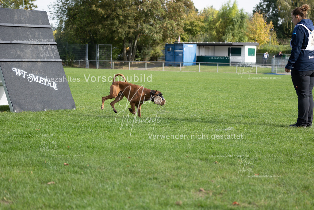 _16A6630 | Einzigartige Fotos von Hunden & Menschen –Actionfotos, Portraits, Vereinsaufnahmen & Paarshootings – authentisch, lebendig & mit Herz.