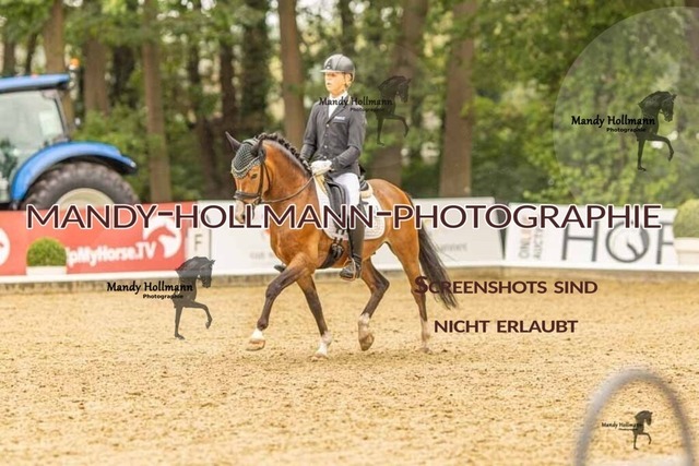 28-8-26 5j DRE-1287 | mandyhollmannphotographie