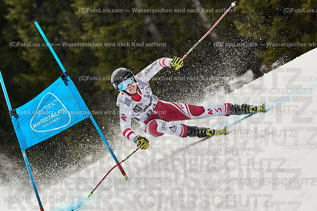 _WWO4559_MASTERS-WM_Reiteralm_CD-SG_FREY Florentina | FISWORLD CHAMPIONSHIPSMASTERS ALPINE SKIING, 23. – 28. MÄRZ 2026 - REITERALM | STMK | AUT.   Veranstaltet vom Masters-Referat des Deutschen Skiverbandes (DSV). Durchführende Organisation: WSV Pichl-Reiteralm, unterstütutzt von den Bergbahnen REITERALM bei Schladming und SKI AUSTRIA.                            Disziplinen:  Super-G, GiantSlalom, Slalom.                                                 Kategorien:  A (Herrn 30-59 Jahre), B (Herrn ab 60 Jahre), C (Damen 30-59 Jahre), D (Damen ab 60 Jahre).                Rennstrecken:   Gasselhöhe und Muldenliftpiste auf der Reiteralm.