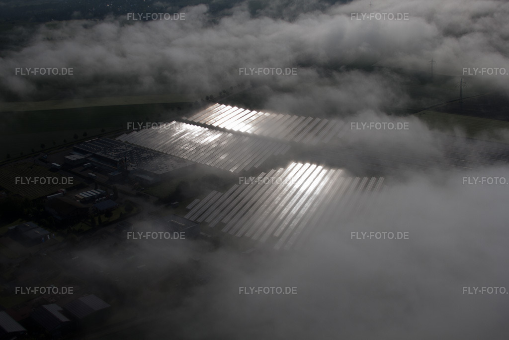 Luftbild: Wetterbedingt in eine Nebel- Schicht eingebettete Panelreihen der Photovoltaikanlage des Solarpark bzw. Solarkraftwerk im Ortsteil Bredenborn in Marienmünster im Bundesland Nordrhein-Westfalen in Deutschland. Foto: IMG_65203.jpg vom 24.05.2014 durch Werner Riehm/FLY-FOTO.de