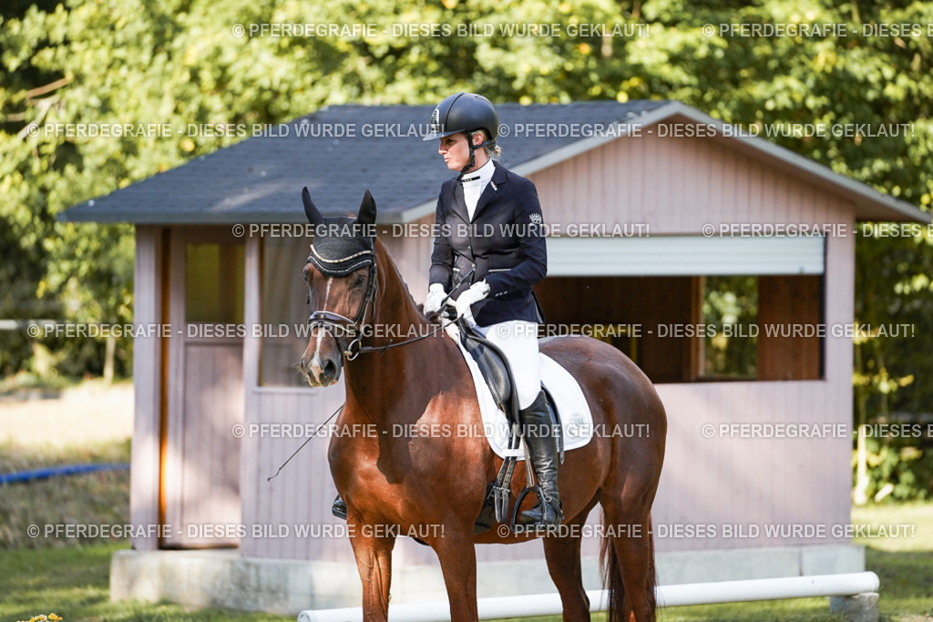 DSC07014 | Pferdegrafie