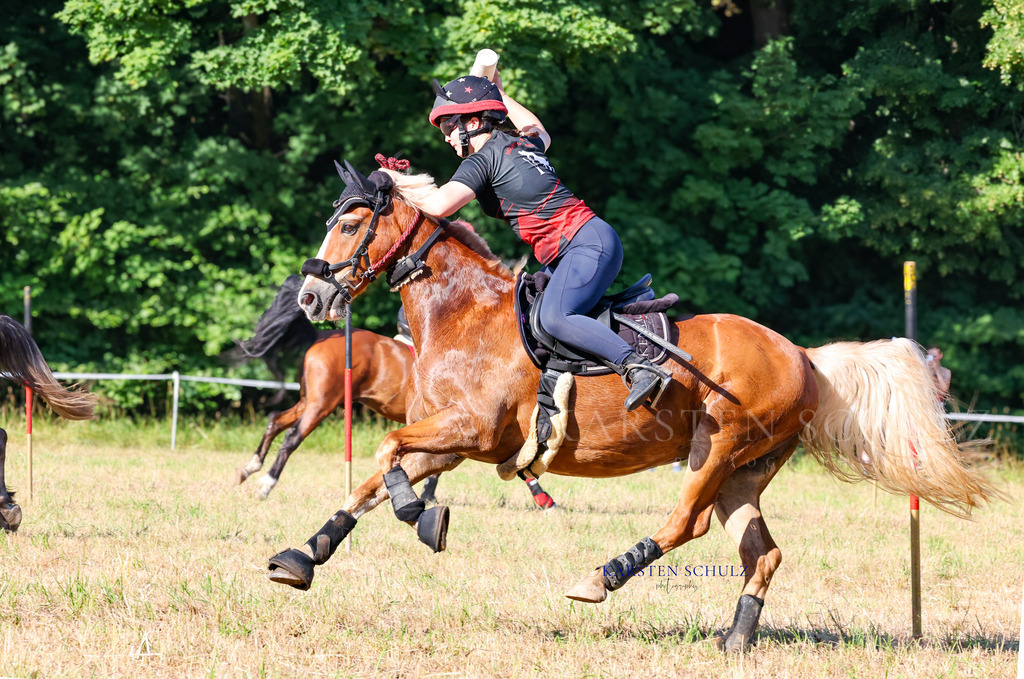 1B3A8590 | Reitsport Reiten