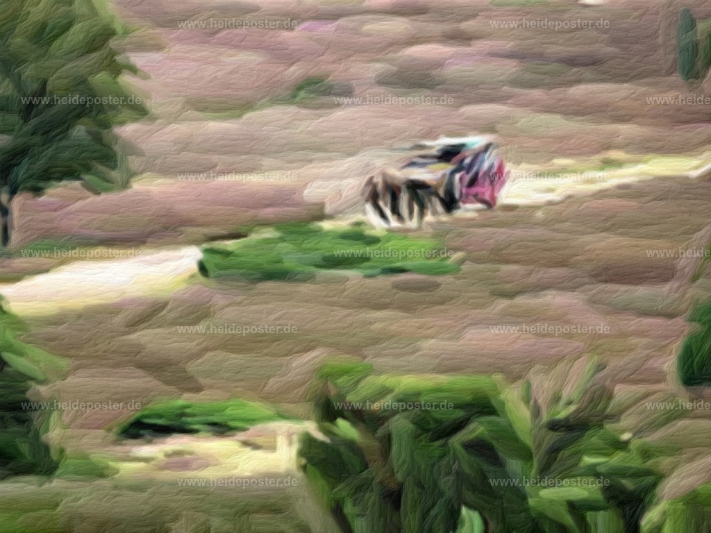 brushed_DSCN5059 | Poster aus der Lüneburger Heide - Realisiert mit Pictrs.com