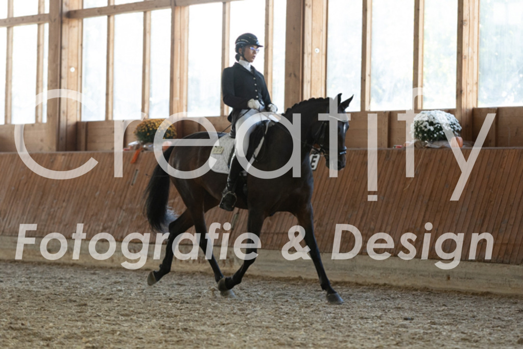 IMG_3712 | Creatify Fotografie