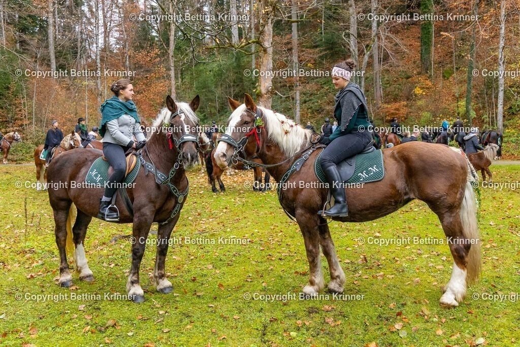 LL25-192 | foto-bettina-krinner - Realisiert mit Pictrs.com