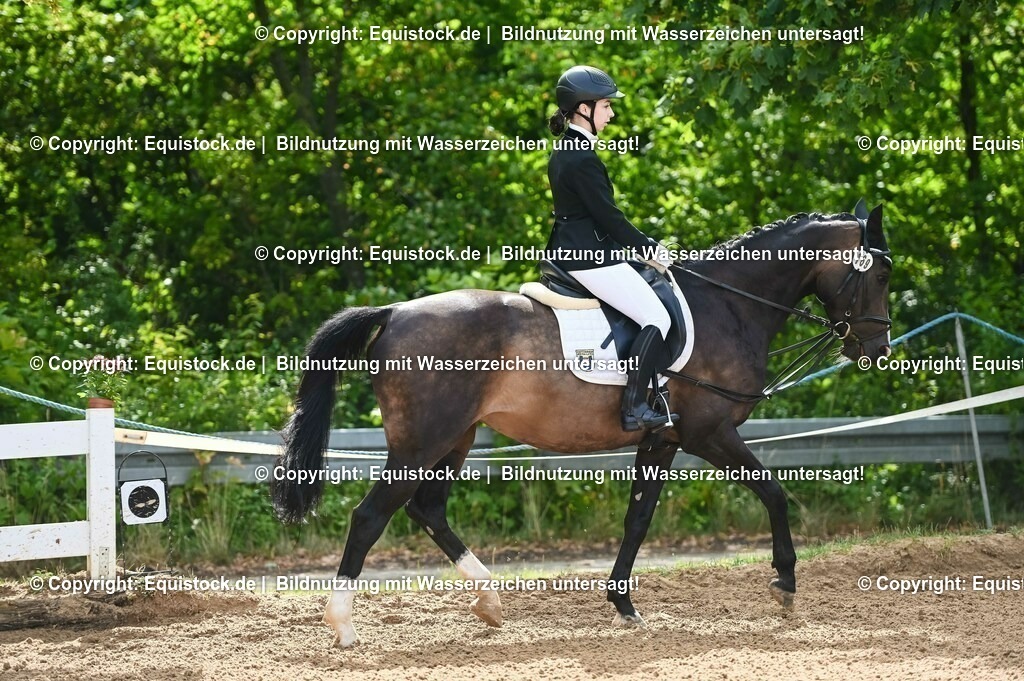 20230716_10-1_Reiter-WB Schritt - Trab - Galopp_0124 | equistock