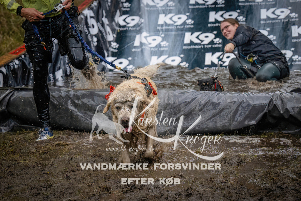 1234_ZZ90245 | kk-dogfotos