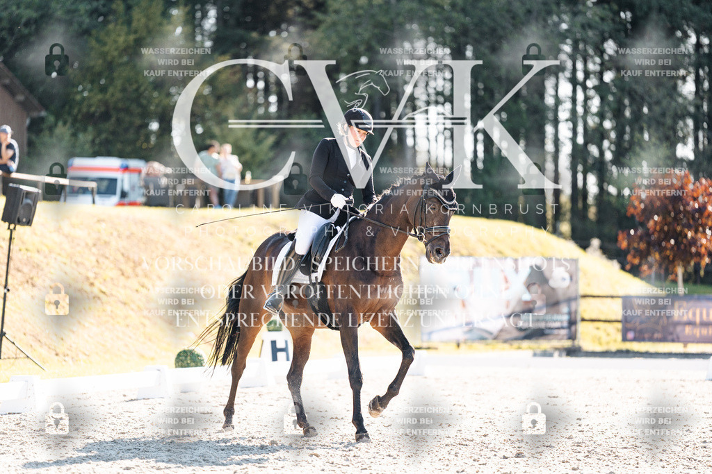 CK906385 | Turnierfotografie Pferdefotografie Trier Rheinland-Pfalz Pferdesport Reitsport Tierfotografie Sportfotografie Pferdevideo Pferdevideografie Equestrianvideography equestrianphotography  - Realisiert mit Pictrs.com