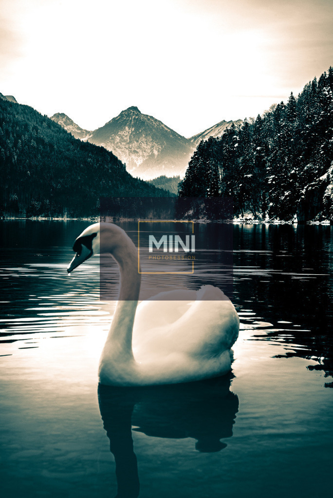 20230129-DSC_2170Original_01 | Michael Nibel Fotografie - Realisiert mit Pictrs.com