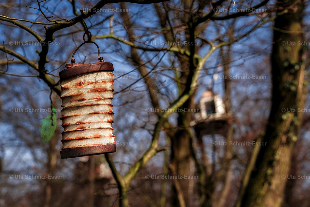 Hambacher-Forst_05 | CEUS Design - Realisiert mit Pictrs.com