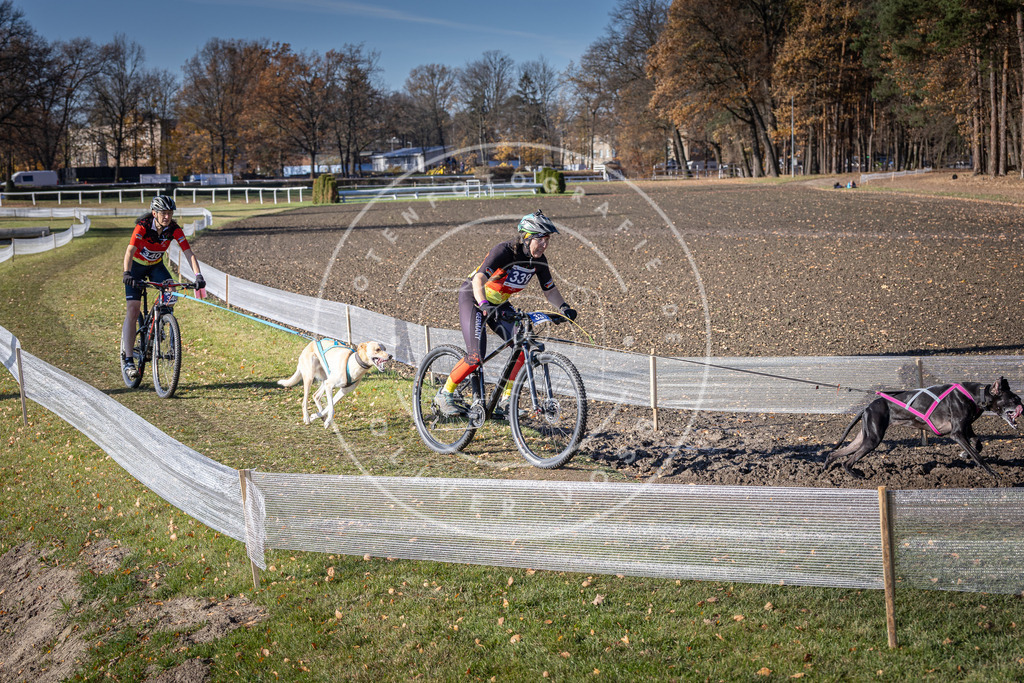 CaniXpix_DV3A6921 | Hundefotografie, Tierfotograf, Pfotenfotografie, Fotoshooting Hund, Hunde Portrait, Hundesport, Hundeportraits, Heideshooting, Hunde, Sportfotograf, Hundefotograf, Turnierhundsport, THS,  - Realisiert mit Pictrs.com