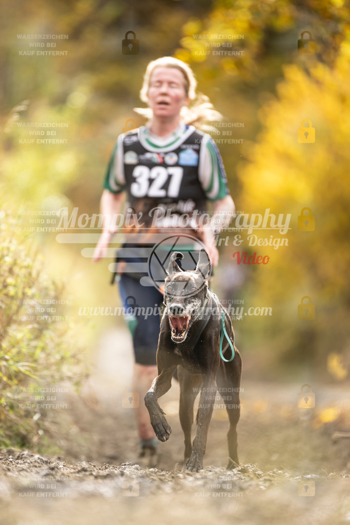 MompixPhotography_ICF_WC_2024_SA_Run_-228 | PayLife