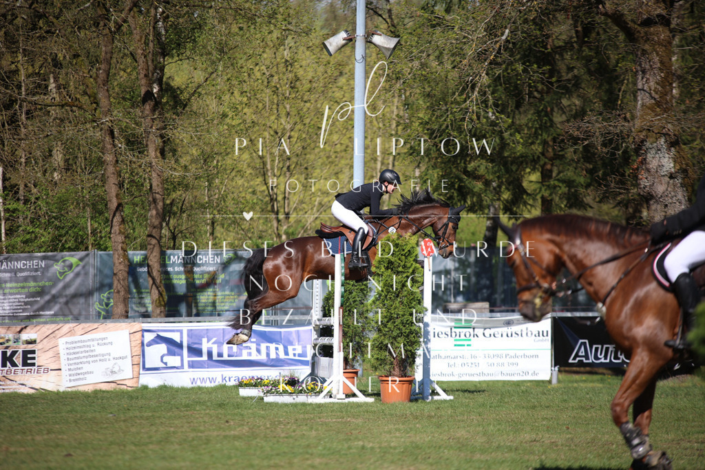 IMGT0458 | pl-fotografie