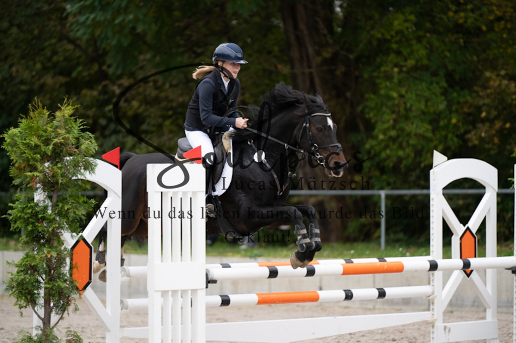 A7V00039 | Turnier/Reitfotograf