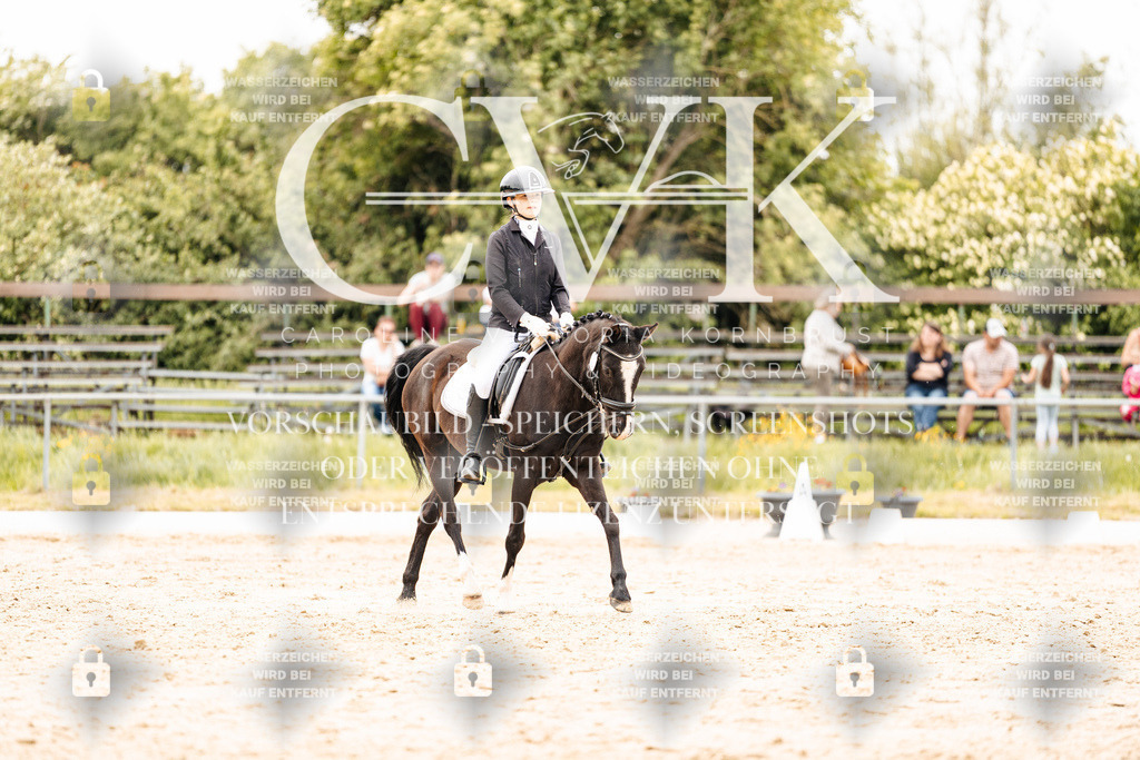 CK903513 | Turnierfotografie Pferdefotografie Trier Rheinland-Pfalz Pferdesport Reitsport Tierfotografie Sportfotografie Pferdevideo Pferdevideografie Equestrianvideography equestrianphotography  - Realisiert mit Pictrs.com