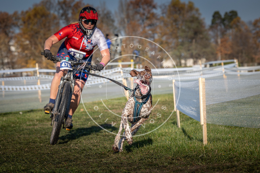 CaniXpix_0L8A4642 | Hundefotografie, Tierfotograf, Pfotenfotografie, Fotoshooting Hund, Hunde Portrait, Hundesport, Hundeportraits, Heideshooting, Hunde, Sportfotograf, Hundefotograf, Turnierhundsport, THS,  - Realisiert mit Pictrs.com