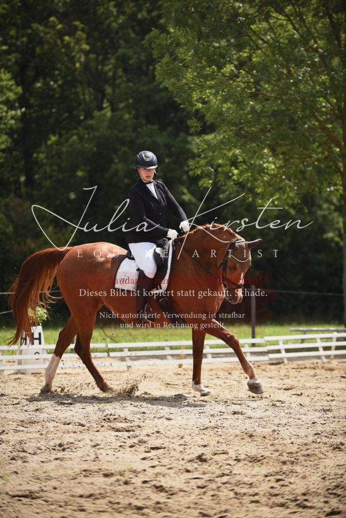 DSC_1171 | Pferde- und Turnierfotografie in Westsachsen. Pferdeportraits, Auftragszeichnungen und intuitive Kunst.