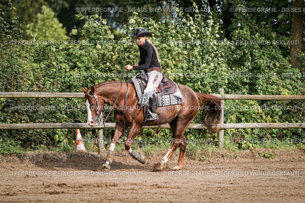 DSC09742 | Pferdegrafie