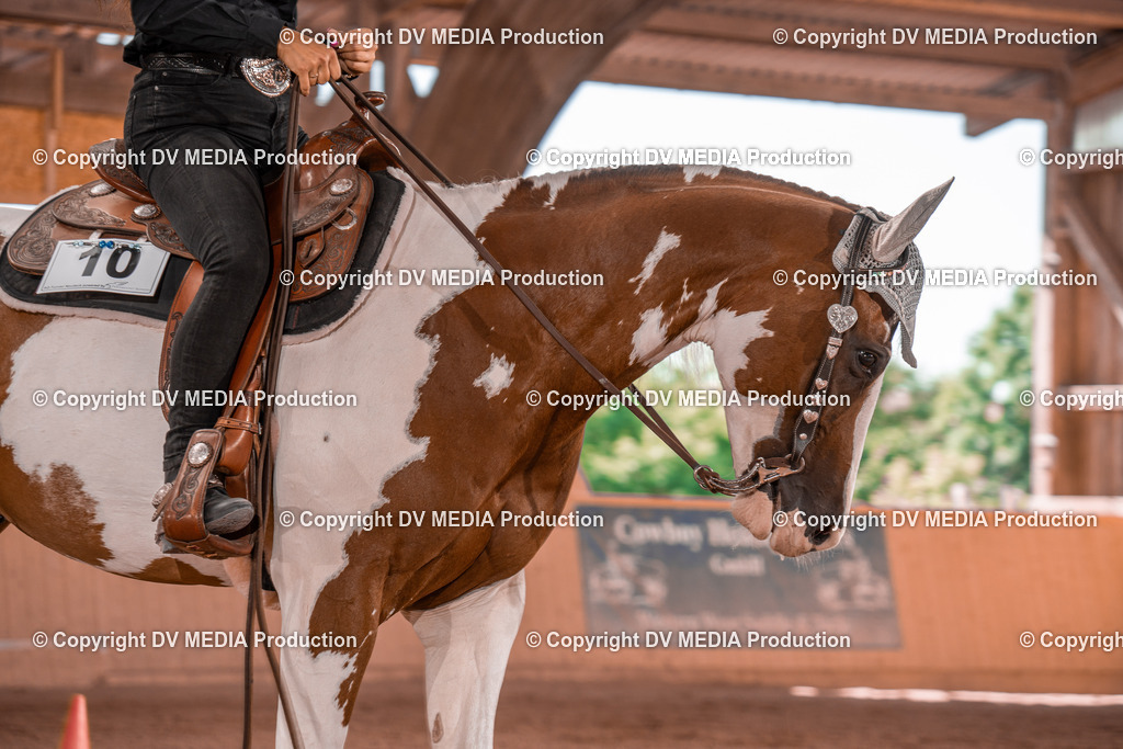 NE100270 | dv-media-shop - Realisiert mit Pictrs.com