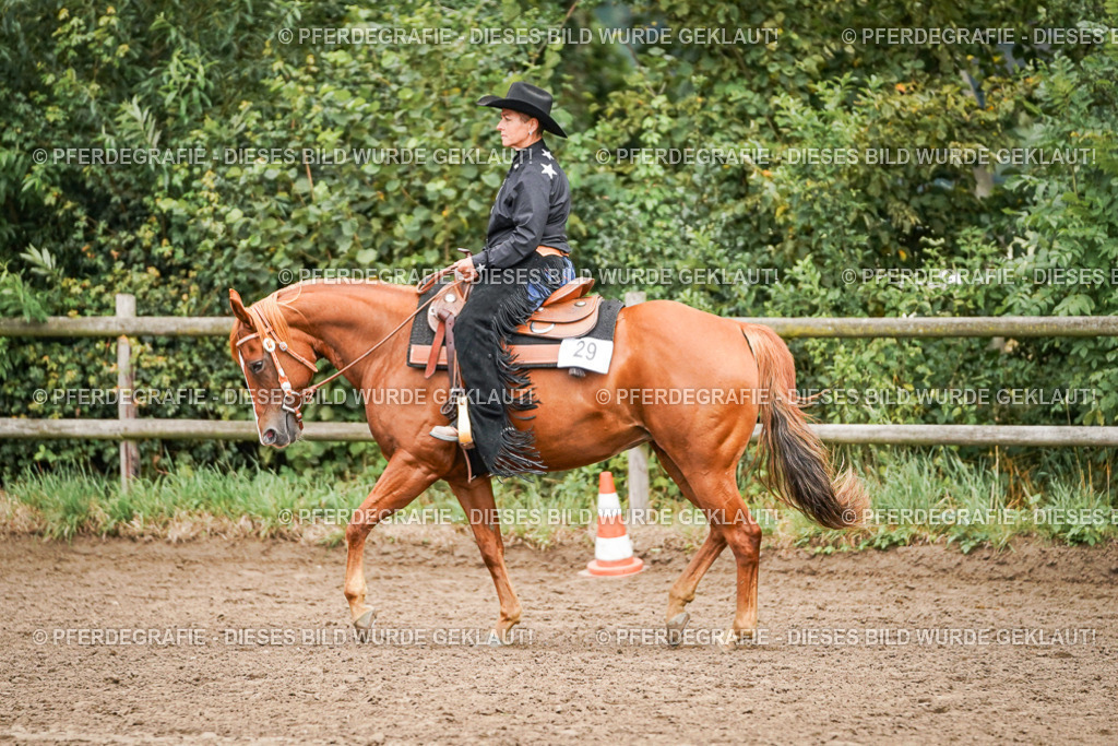 DSC03550 | Pferdegrafie