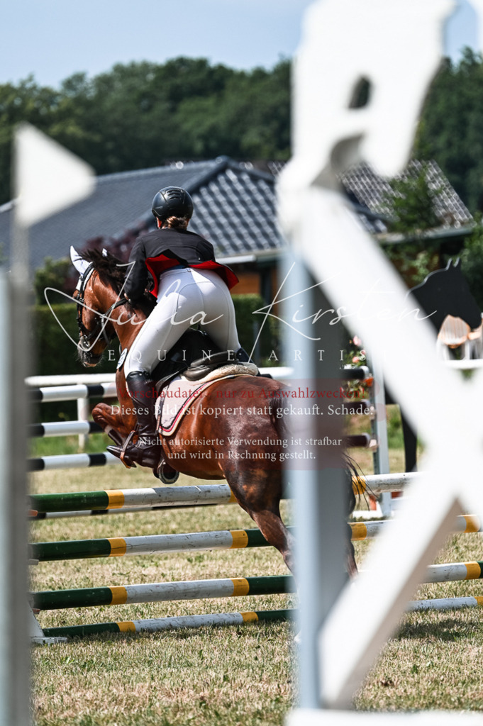 DSC_9455 | Pferde- und Turnierfotografie in Westsachsen. Pferdeportraits, Auftragszeichnungen und intuitive Kunst.