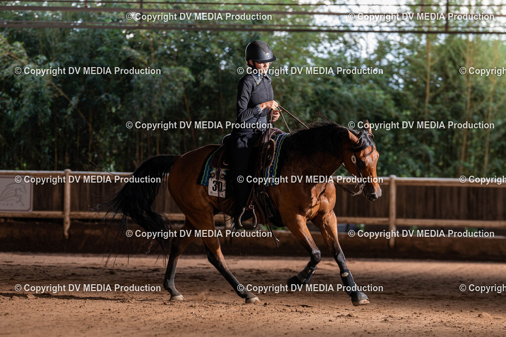 Erbach Tag 2-958 | dv-media-shop - Realisiert mit Pictrs.com