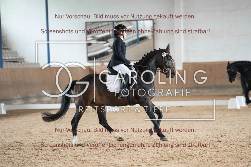 DSC01879 | Reitturnier_Göppingen_April_2026, Uliana_Konkina, Camaro