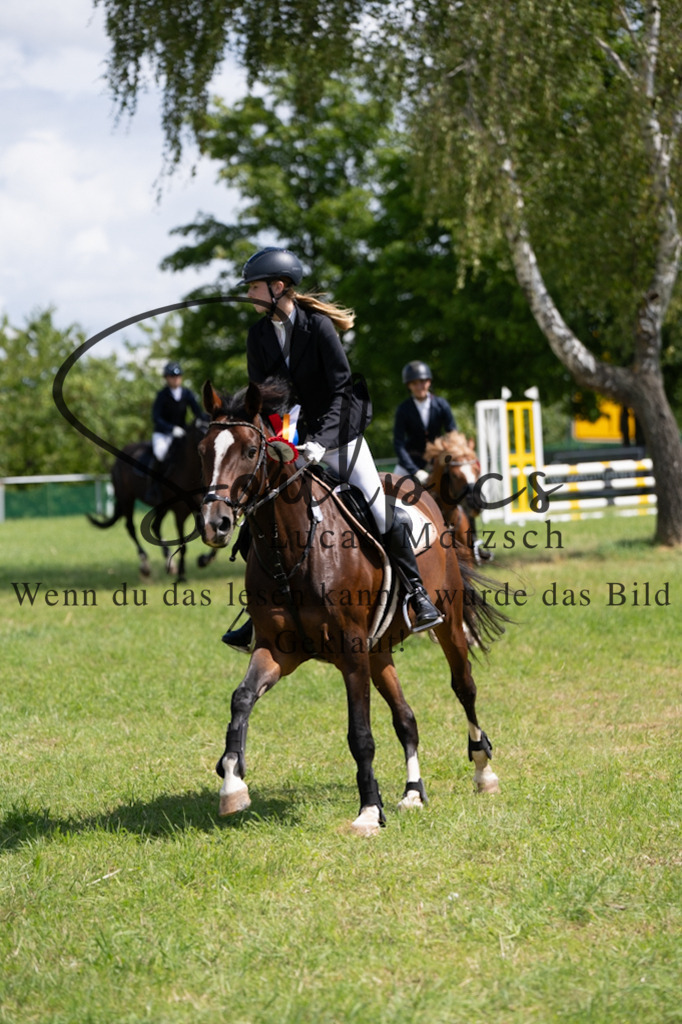 A7V04396 | Turnier/Reitfotograf