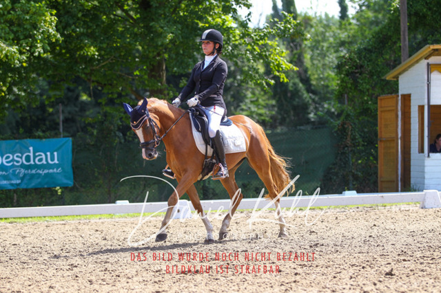 DKP42714 | Turniersportfotografie; Pferdefotografie; Dressurfotografie