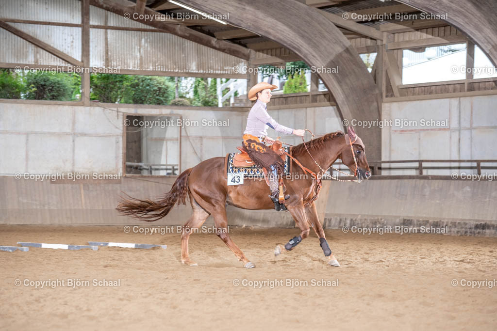 LMB05913 | BS-foto