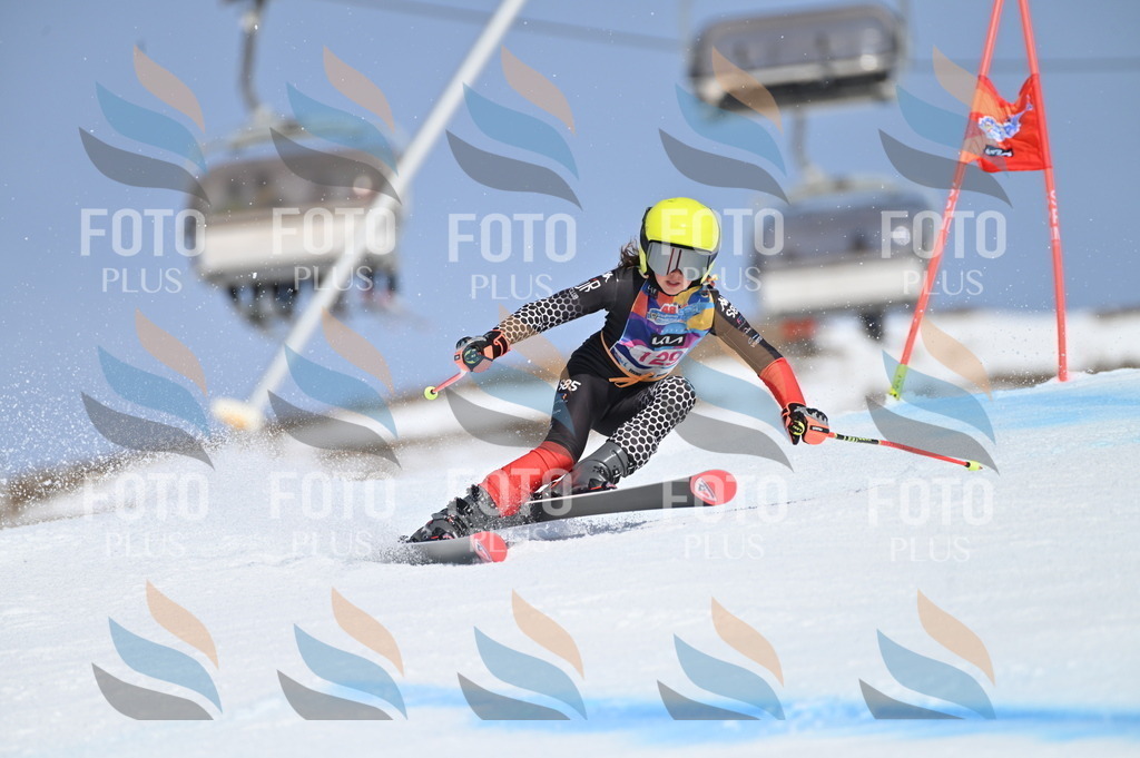 BGV_9966 | holidayphoto