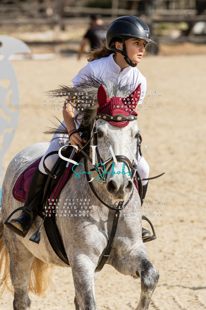 IMG_4345 | s-jay-photography - Realisiert mit Pictrs.com