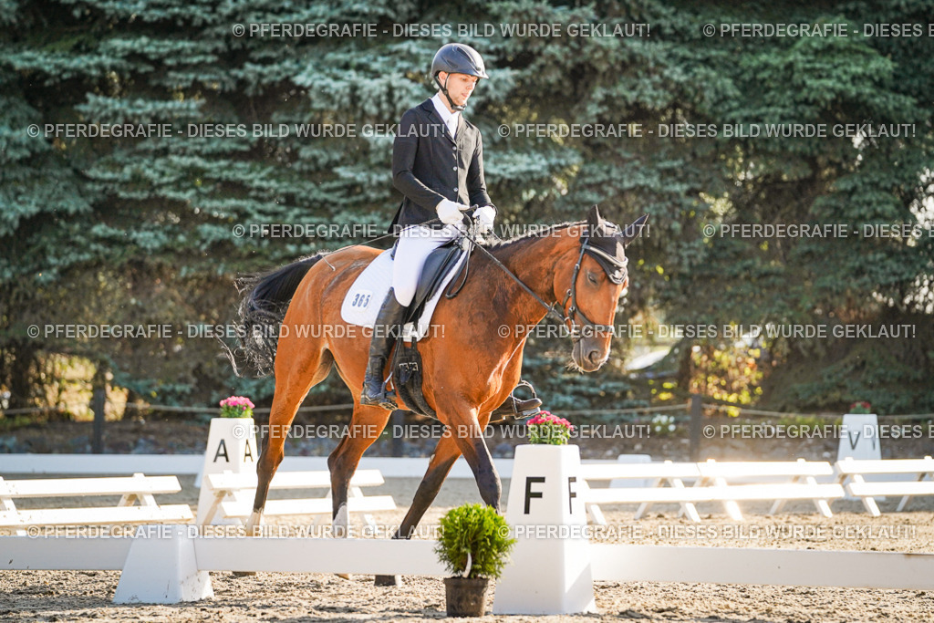 DSC08375 | Pferdegrafie