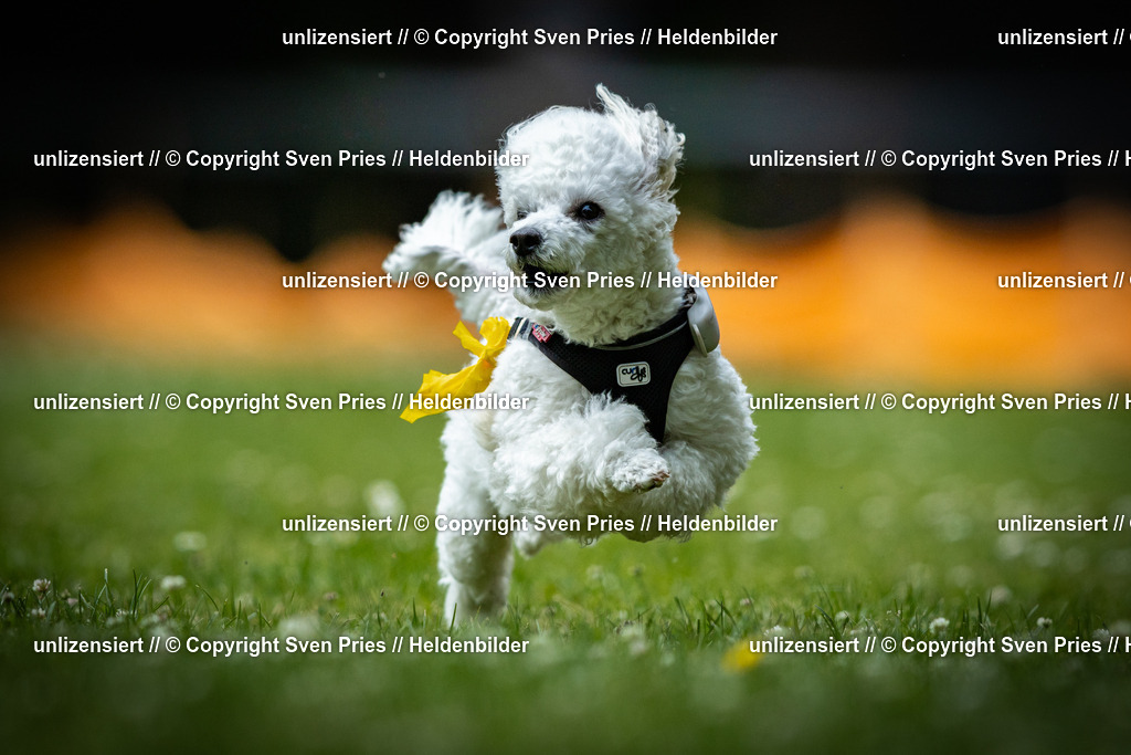 Sven Pries | 2025-05-29 - Pudelrennen KA-Durlach - Realisiert mit Pictrs.com