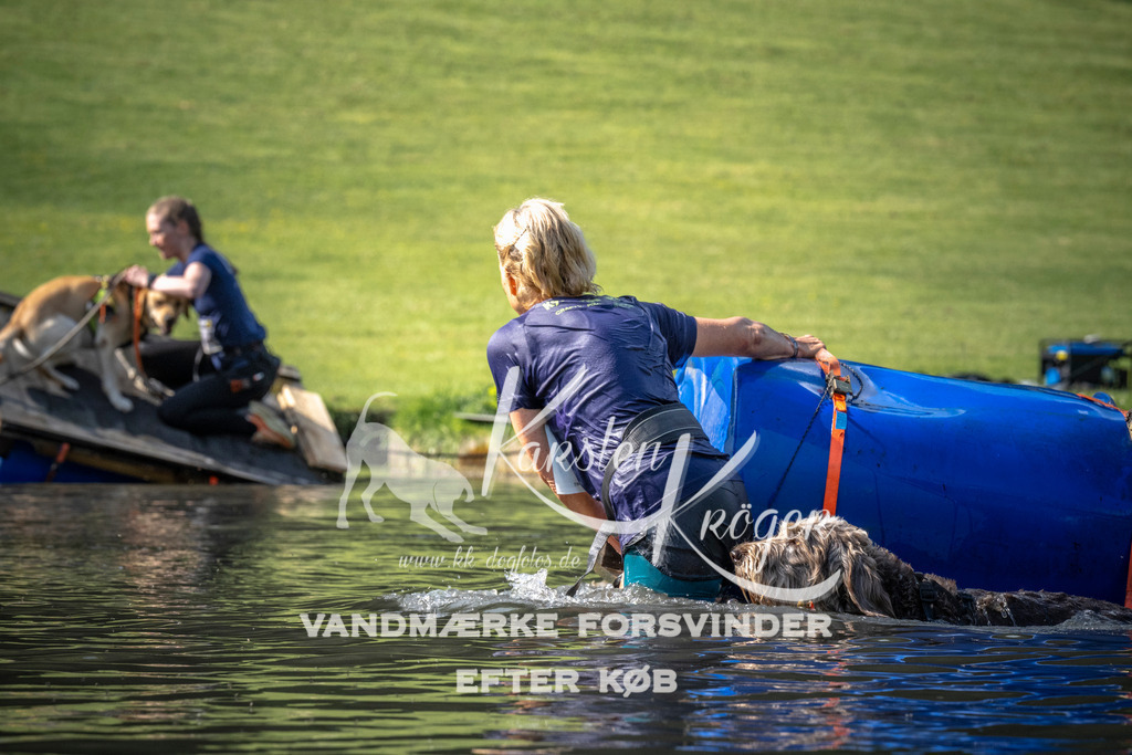 0832_ZZ99424 | kk-dogfotos