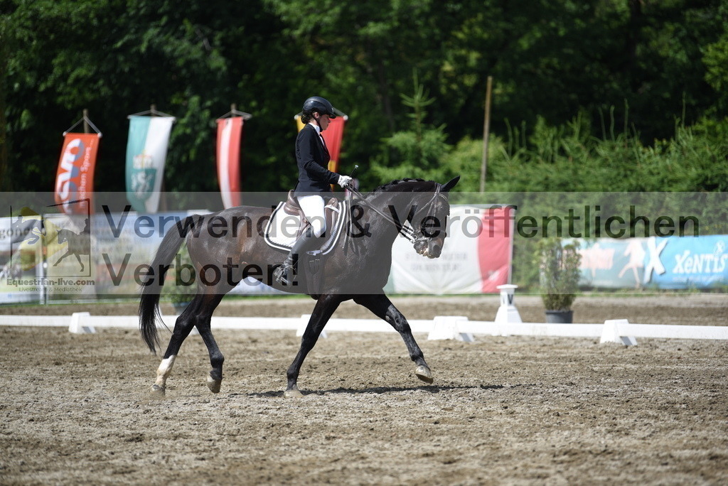 DSC_1130 | equestrian-live-com