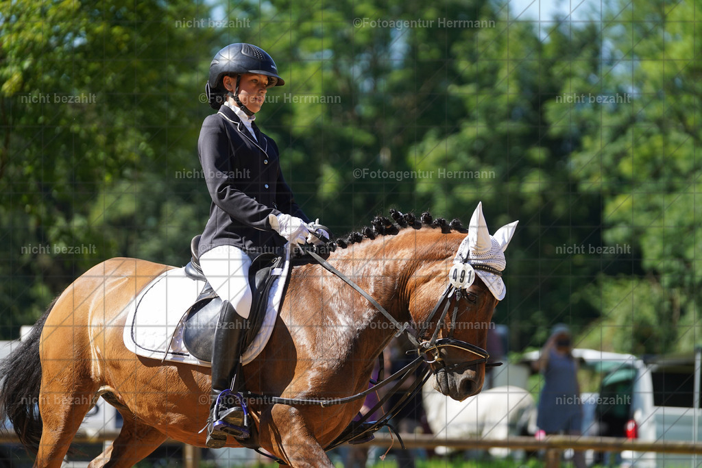 20240706-FAH04949 | Grafing Turnierfotos, Reitverein Ebersberg, Turnierfotografen Bayern, reitsportbilder, Pferdefotograf, reitsportfotograf, Sportbilder, Reitsportfotografie, Fotoagentur Herrmann, Turnierfotograf