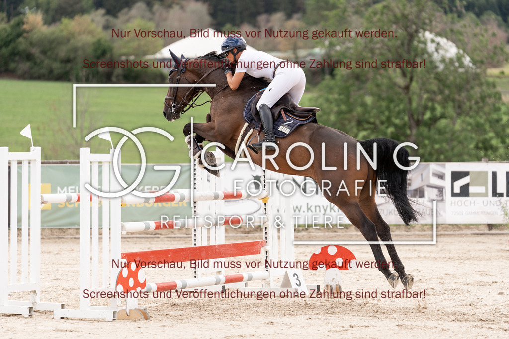 DSC06632 | Springturnier_Teamchallege_Talheim_2026, Elisabeth_Mayer, Parley
