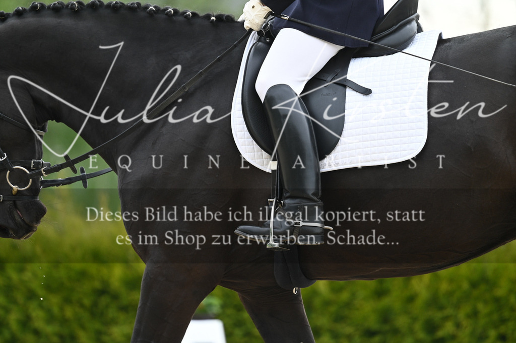 20230512_JK-Röhrsdorf-02-211 | Pferde- und Turnierfotografie in Westsachsen. Pferdeportraits, Auftragszeichnungen und intuitive Kunst.