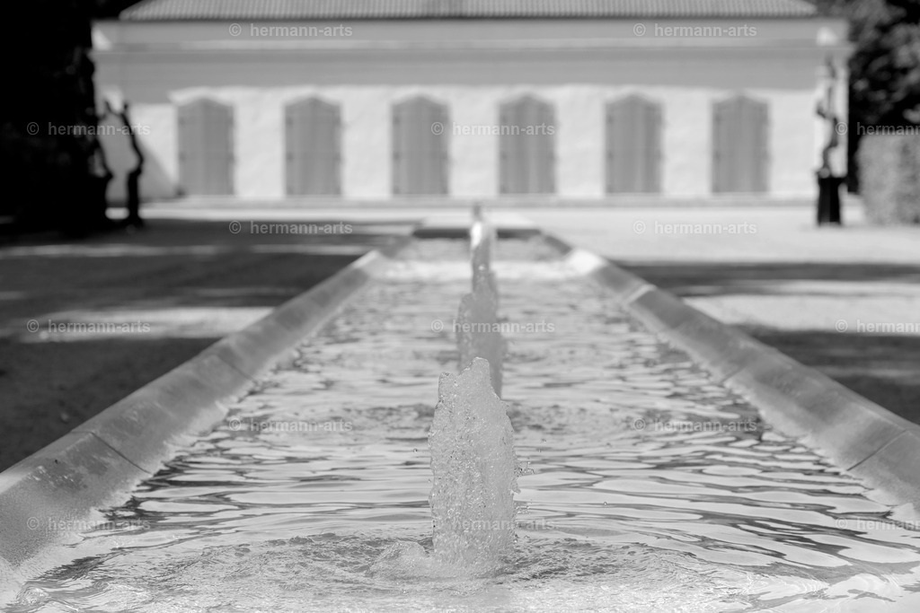 Bagno_09_07_24_DPP-25a | Photo Foto Kunst Art schwarzweiss Bilder Rheine Münster Berlin Blumen 