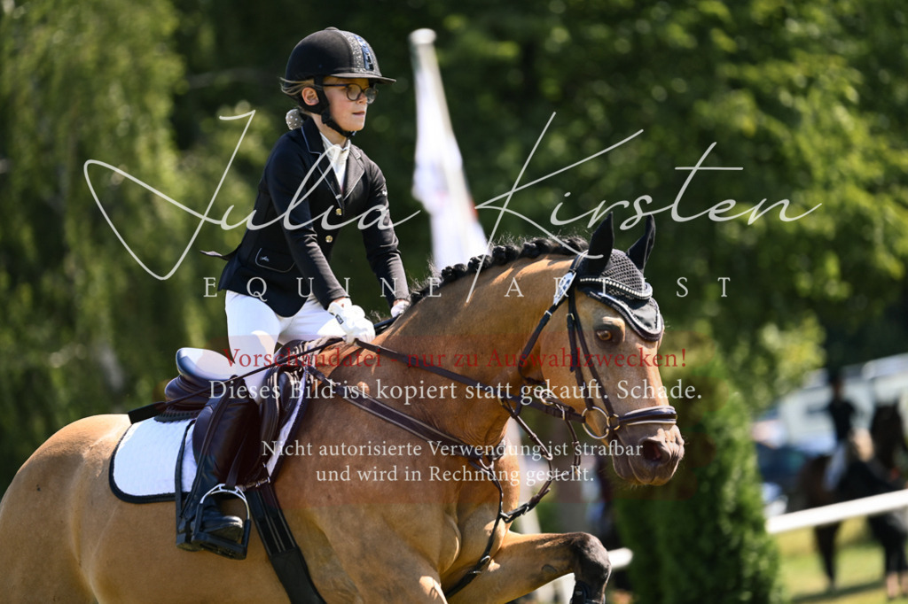 DSC_8813 | Pferde- und Turnierfotografie in Westsachsen. Pferdeportraits, Auftragszeichnungen und intuitive Kunst.