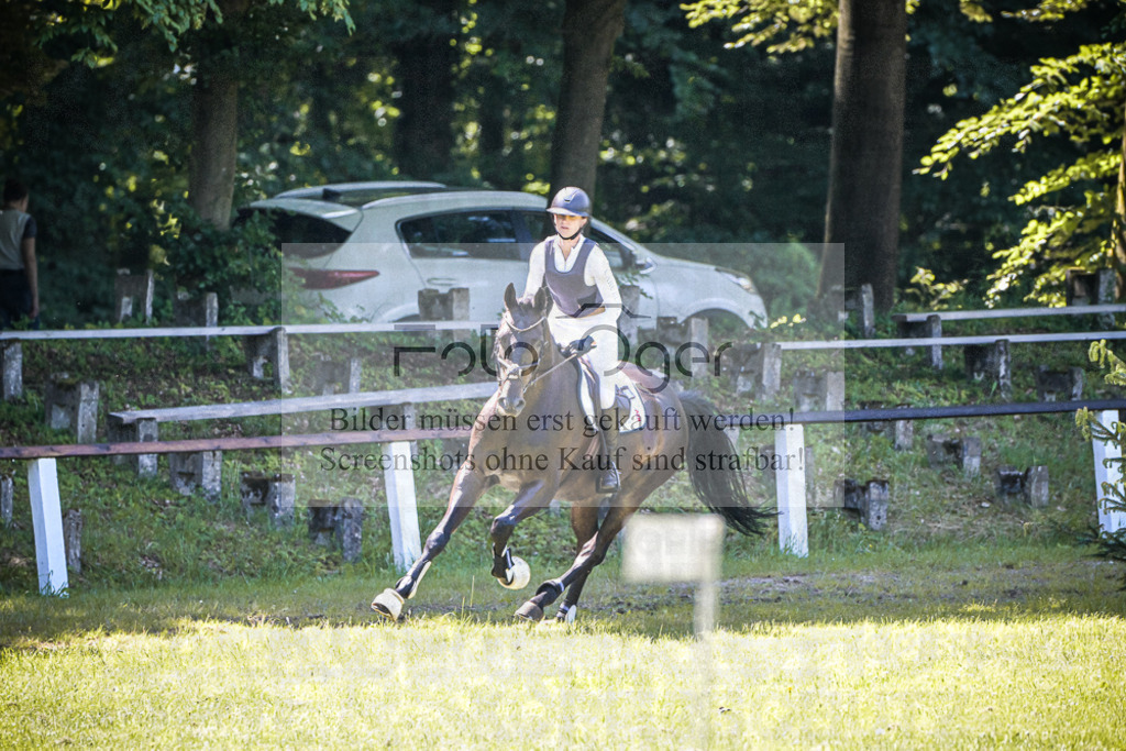 DOS_0266 | Entdecke hochwertige Reitturnierfotos von Foto Oger. Professionell, emotional und authentisch – jetzt Lieblingsmomente im Shop bestellen.Deutschlandweite Turnierfotografie. - Realisiert mit Pictrs.com