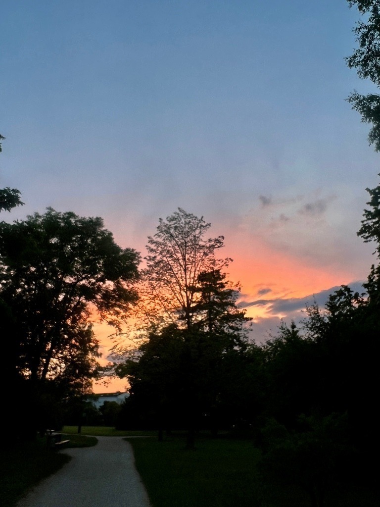 IMG_7294 | ace - Realisiert mit Pictrs.com