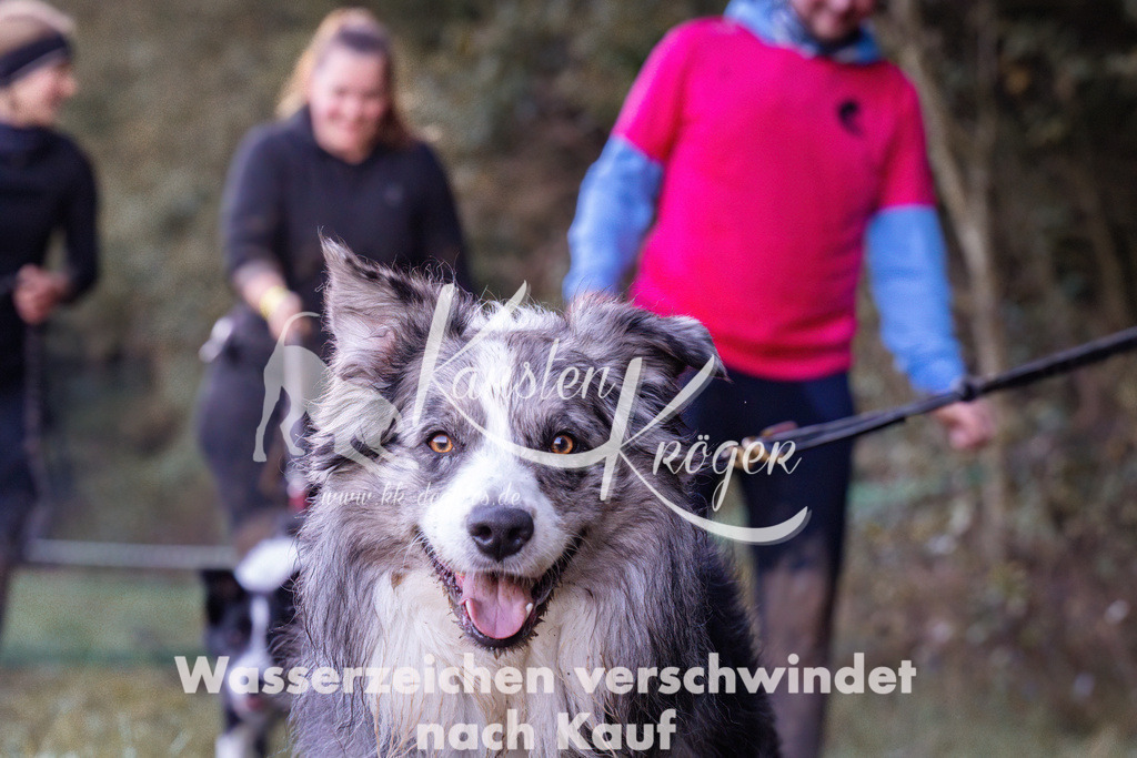 0843_ZZ90762 | kk-dogfotos
