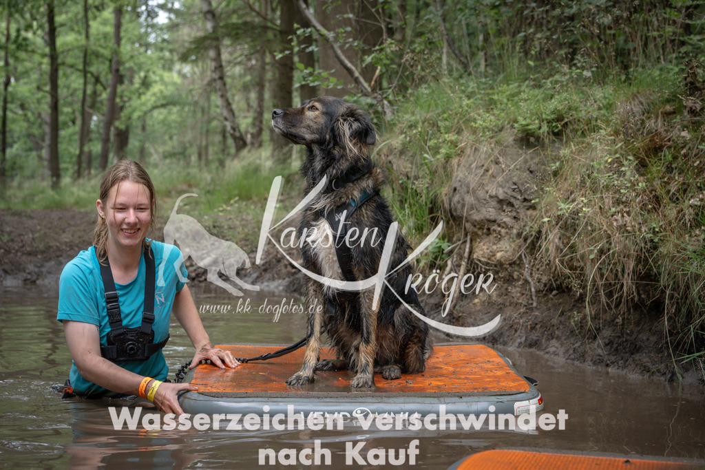 1243_ZZ90558 | kk-dogfotos