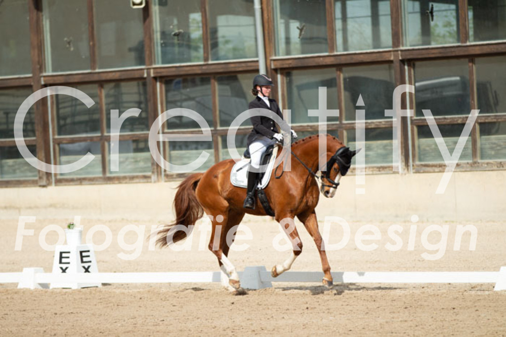 IMG_1346 | Creatify Fotografie