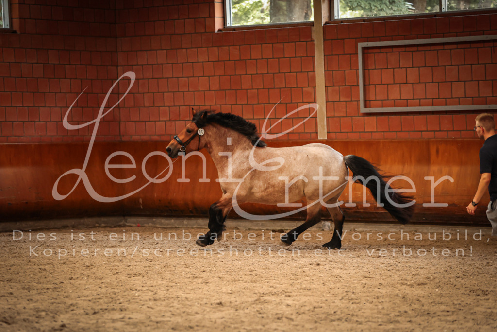 SaFL00361 | Leoni Ertmer Photography - Realisiert mit Pictrs.com