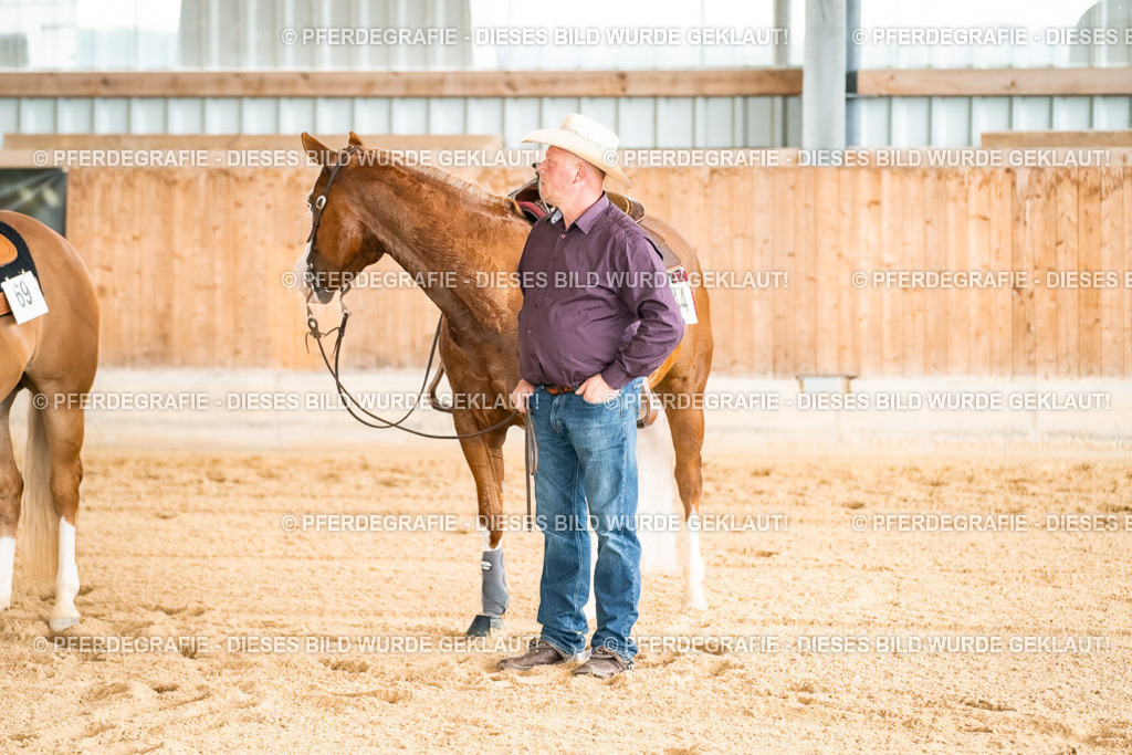 DSC02486 | Pferdegrafie