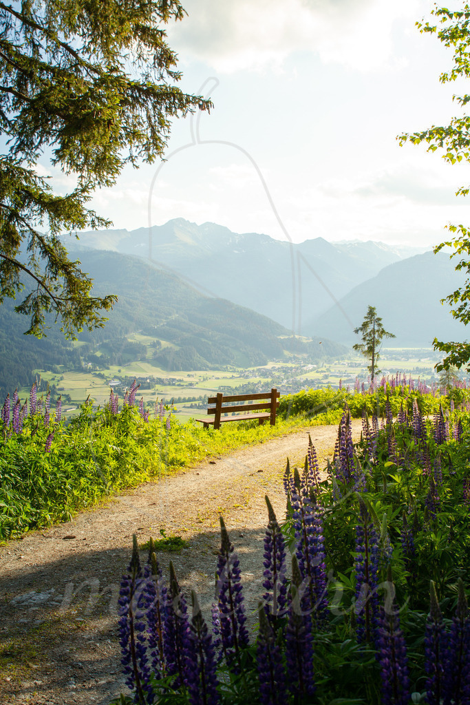 Bankerl mit Aussicht | Bei Veröffentlichung des Bildes ist eine Namensnennung wie folgt erforderlich: 
Foto: Mostdirn Irmgard Wieser - Realisiert mit Pictrs.com